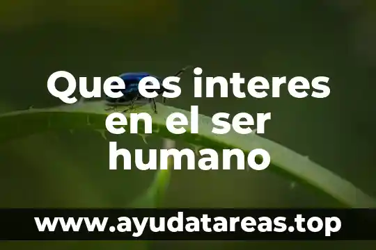 Que es ser anal 4 Que es interes en el ser humano