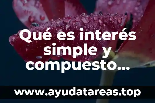 Simple form que es 8 Qué es interés simple y compuesto Yahoo