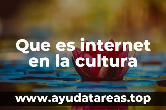 Que es la cultura dominguez catarina udlap 6 Que es internet en la cultura