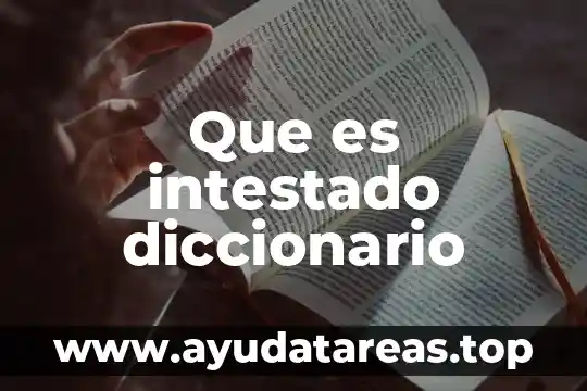 Qué es obvio significado diccionario 5 Que es intestado diccionario