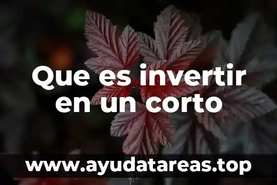 Que es la tierra concepto corto 7 Que es invertir en un corto