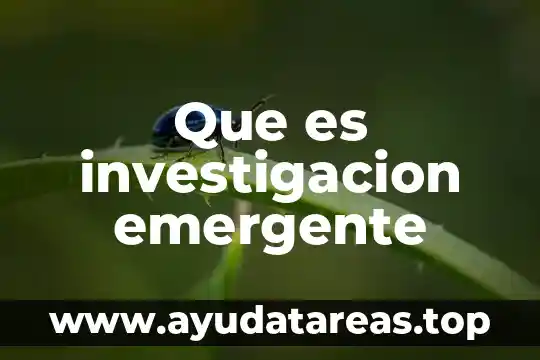 Que es investigacion emergente