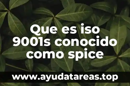 Que es iso 9001s conocido como spice