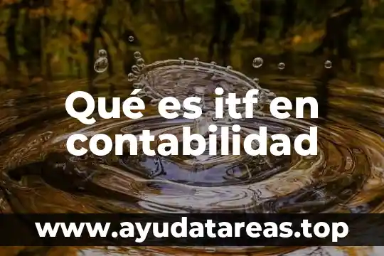 Que es un interes contabilidad 6 Qué es itf en contabilidad