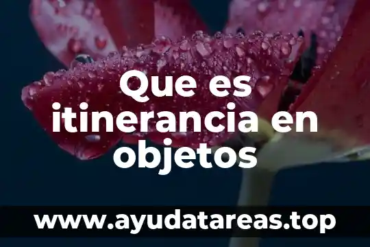 Que es itinerancia en objetos