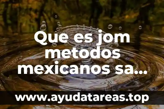 Servicios administrados mexis sa de cv que es 3 Que es jom metodos mexicanos sa de cv