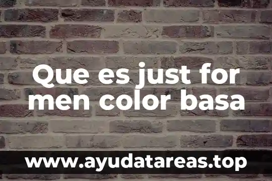 Que es el modelo de gestion just in time 4 Que es just for men color basa