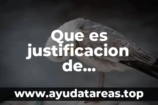 Que es justificacion de investigacion o trabajo