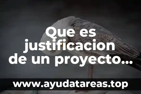 Definicion del objeto de estduio que es en las tesis 8 Que es justificacion de un proyecto de tesis