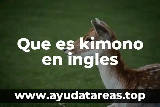 Significado de que es la energia en ingles 3 Que es kimono en ingles