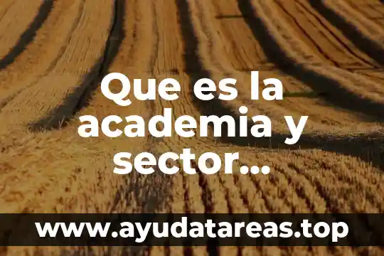 Que es la academia y sector productivo en la educacion