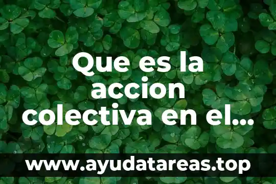 Que es el principio de definitividad procesal 4 Que es la accion colectiva en el codigo procesal civil