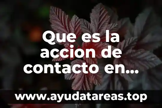 Qué es el agua para lentes de contacto 6 Que es la accion de contacto en fisica
