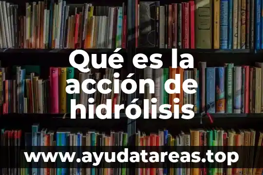 Qué es la acción de hidrólisis