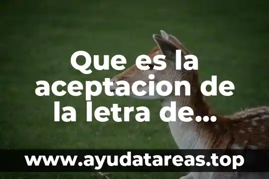 Que es la aceptacion de la letra de cambio