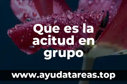 Qué es agua orgánica donde se la venden 7 Que es la acitud en grupo