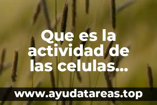 Que es la actividad de las celulas satelite