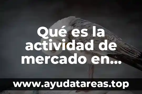 Qué es la actividad de mercado en economía