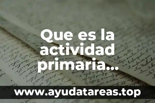Que es actividad significado 6 Que es la actividad primaria minera