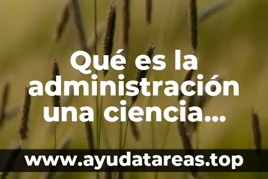 Técnica de gallego para que es 5 Qué es la administración una ciencia técnica o arte