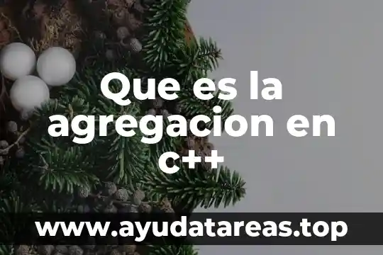 Que es la agregacion en c++