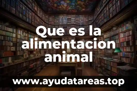 Que es yelmo animal 6 Que es la alimentacion animal