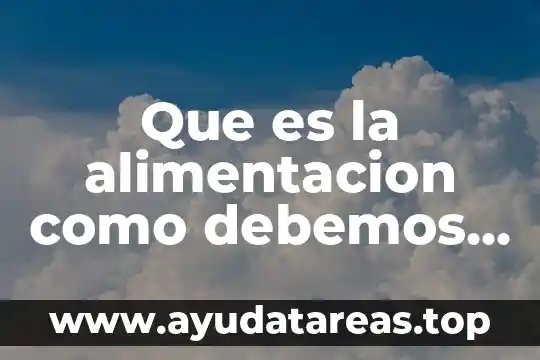 Qué es el concepto de alimentación 6 Que es la alimentacion como debemos alimentarnos para estar sanos