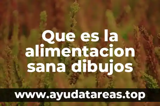 Qué es el concepto de alimentación 7 Que es la alimentacion sana dibujos