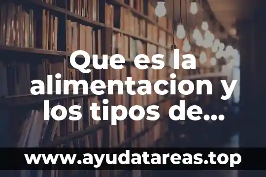 Que es la alimentacion y los tipos de alimentación