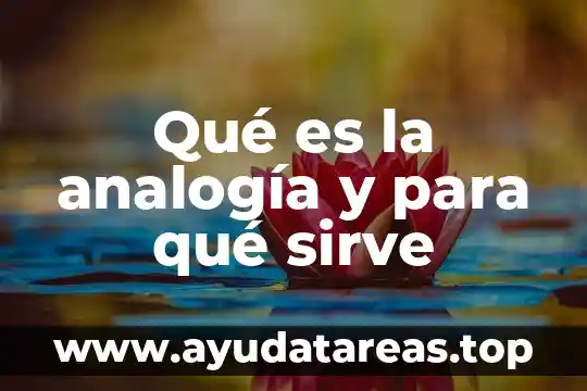 Que es la flor amaranto para que sirve 4 Qué es la analogía y para qué sirve