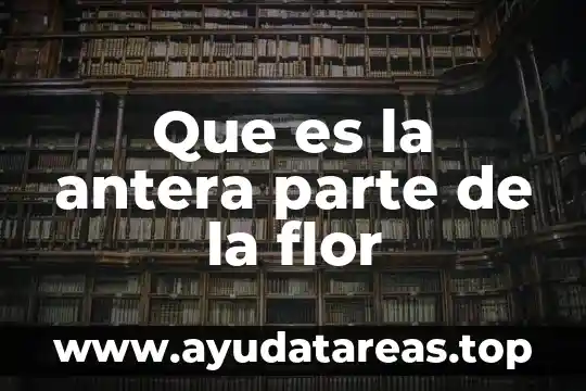 Que es edema y en que parte se valora 5 Que es la antera parte de la flor