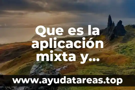 Que es la aplicación mixta y principio de las leyes