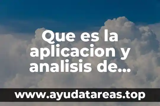 Que es la aplicacion y analisis de resultados
