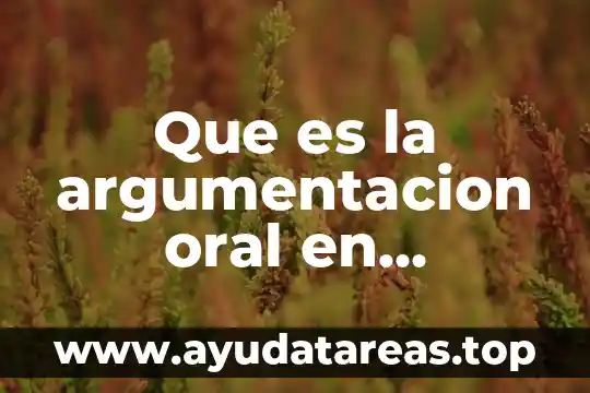 Que es el juicio oral concepto 8 Que es la argumentacion oral en derecho
