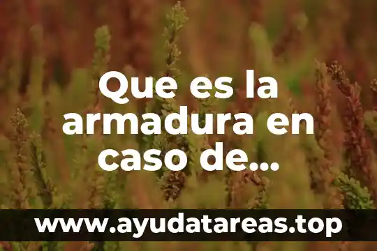 Que es el sistema invernadero 4 Que es la armadura en caso de invernadero