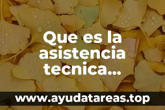 Que es agua sanitaria en brasil 4 Que es la asistencia tecnica sanitaria