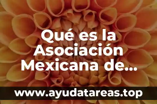 Que es una planta de energia eolica hidroelectrica 4 Qué es la Asociación Mexicana de Energía Eólica AMEE