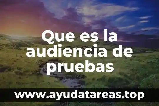 Que es la audiencia de pruebas