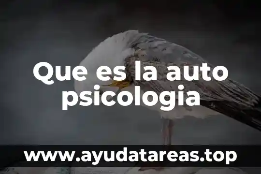 Qué es el vínculo en psicología 6 Que es la auto psicologia