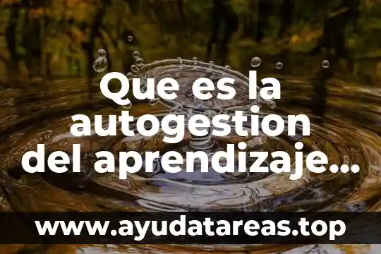 Que es el aprendizaje autonomo 2017 3 Que es la autogestion del aprendizaje en los docentes