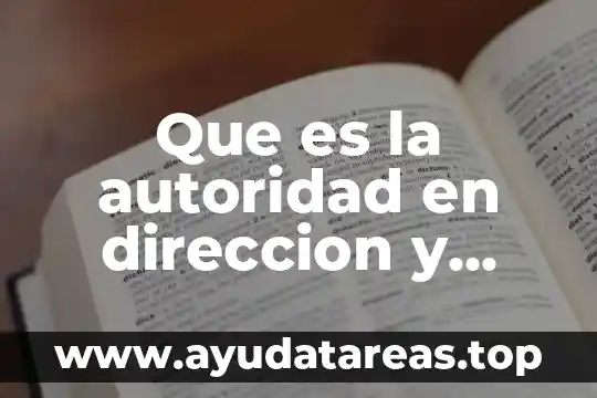 Que es la autoridad en direccion y control
