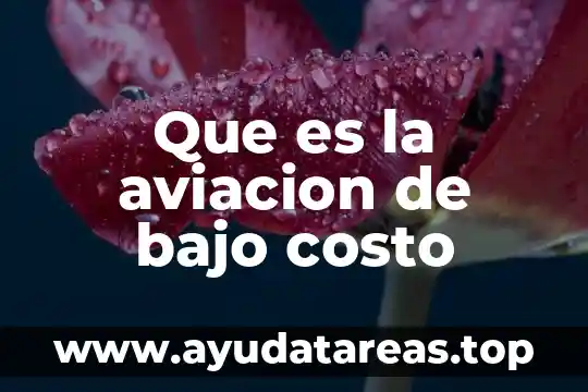 Que es la aviacion de bajo costo