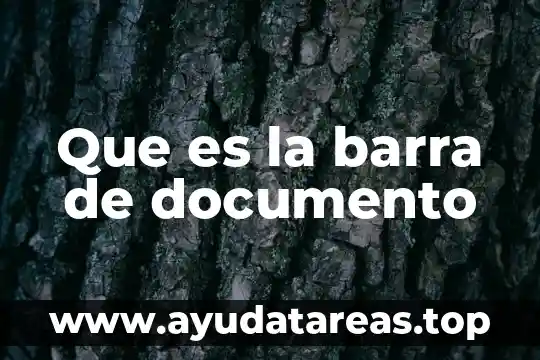 Que es un documento por escrito 4 Que es la barra de documento