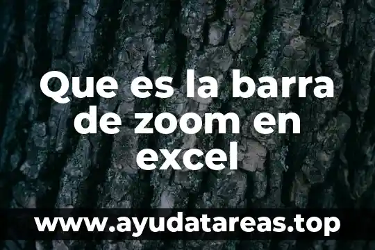 Que es el color granate oscuro en excel 7 Que es la barra de zoom en excel