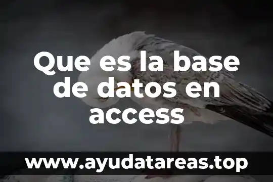 Que es caídas de base amplia 8 Que es la base de datos en access