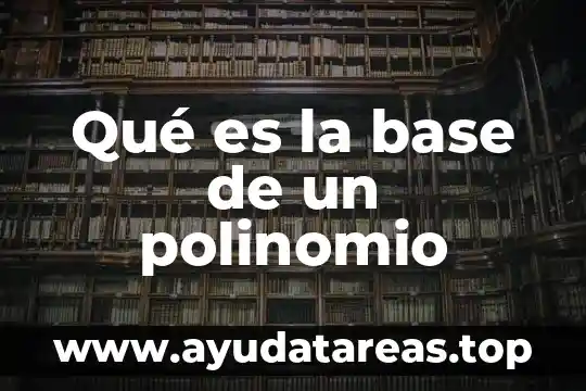 Qué es la base de un polinomio