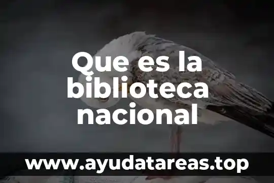 Que es una biblioteca medica digital 4 Que es la biblioteca nacional