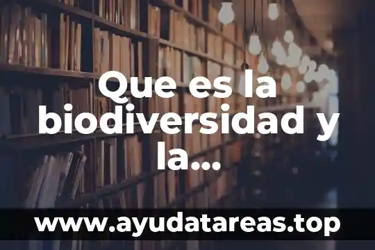Que es el ambiente de trabajo atractivo 5 Que es la biodiversidad y la contaminacion del medio ambiente