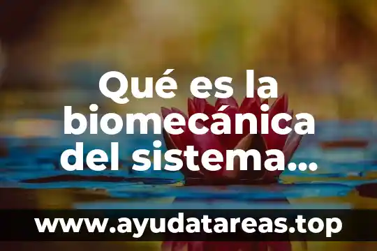 Para qué es indispensable el cloro en el agua 3 Qué es la biomecánica del sistema estomatognático