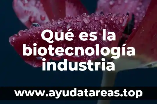 Que es el despiece en la industria carnica 4 Qué es la biotecnología industria